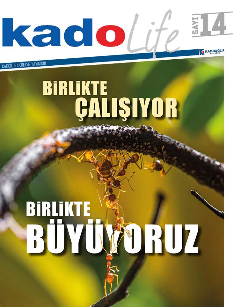 KadoLife 14. Yayın
